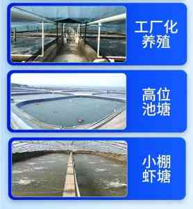 2026年湖北蛭弧菌冻干粉定做厂家推荐,源头供应与技术支持