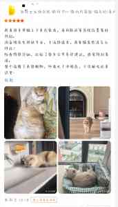2026年深圳宠物眼科诊所推荐:专业眼科诊疗与口碑解析