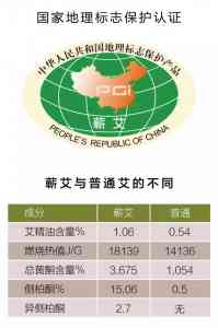 2026年艾绒源头供应商推荐：道地蕲艾、OEM代工与加盟一站式服务厂家