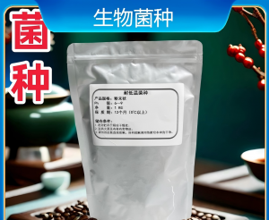 2026年河南活性污泥菌种厂家推荐，高效污水处理源头企业解析