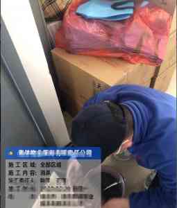 2026年南京仓储物流害虫熏蒸消杀服务深度解析,专业除虫方案保障货物安全