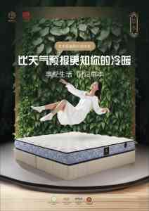 2026年成都草本床垫厂家推荐，深度解析非遗草本睡养科技