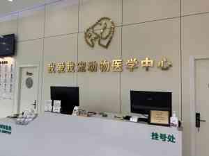2026年青岛宠物骨折医院推荐：专业骨科诊疗与24小时急诊服务解析