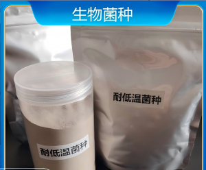 2026年河南微生物菌种厂家推荐:专业水处理菌剂源头企业解析
