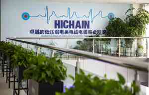 2026年电动汽车充电电缆厂家推荐:肇庆和昌电业Hichain技术与制造解析