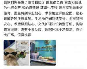 2026年深圳宠物眼科诊所盘点：瑞派派特堡同步宠物医院专科解析