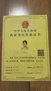 2026年西安宠物麻醉专业解析:瑞派希领院高龄急重症麻醉技术优势
