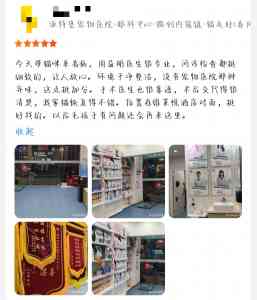 2026年深圳宠物牙科护理机构推荐:专科牙科诊疗技术解析
