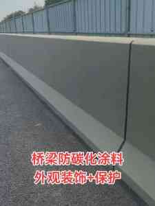 2026年天津防碳化涂料生产基地——天津九延新材料科技有限公司解析