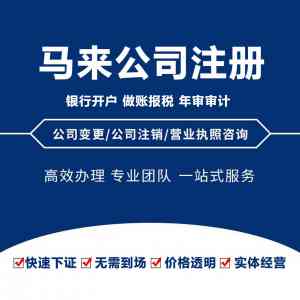 2026年江西公司注册海外服务推荐:江西登尼特科技有限公司解析