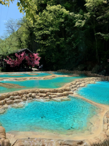 2026年郑州周边旅游中心推荐：栾川王府沟竹海旅游发展有限公司深度解析