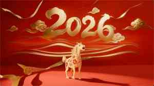 2026年AI广告片公司推荐:视觉灵动,一站式创意与制作服务提供商