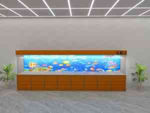 2026年芜湖观赏鱼缸机构推荐:芜湖一点水水族景观工程有限公司解析