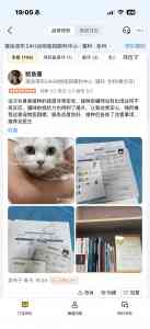 2026年东莞宠物眼科专家医院推荐:东莞市瑞派诺布动物医院有限公司深度解析