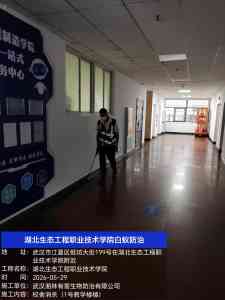 2026年武汉灭四害企业——武汉湘林有害生物防治有限公司深度解析