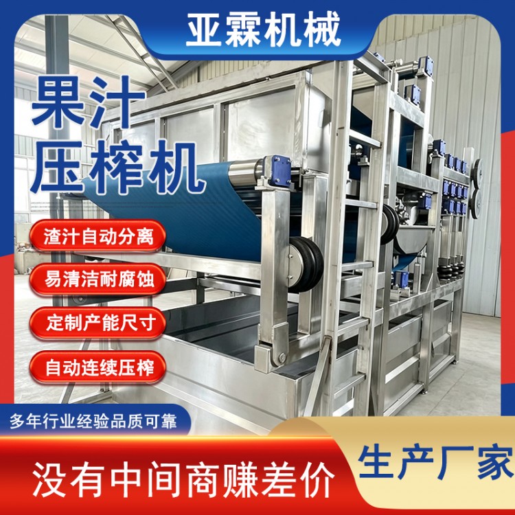 蓝莓果蔬压榨机