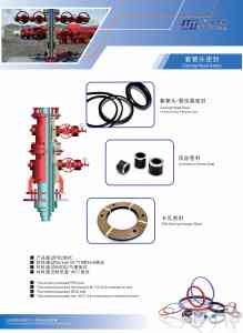 2026年广州油气装备密封系统设计源头厂家深度解析