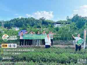 2026年苗木白根多维护方案:康拓森生物科技助力根系健康