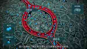 2026年山东三维动画平台推荐：辅星三维传媒科技专注三维动画制作