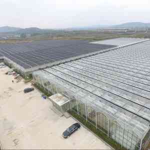 2026年温室大棚厂家推荐:青州金辉温室专业定制方案