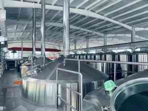2026年山东啤酒酿造设备制造商推荐：精酿/鲜啤生产设备源头厂家解析