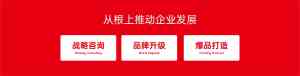 2026年郑州包装设计服务商解析：无形策划助力快消品牌爆品突围