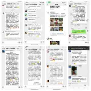 2026年新疆青少年军事夏令营:战狼领航特训营深度解析