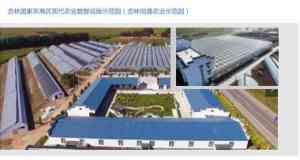 2026年潍坊农业园区运营公司推荐:聚焦园区规划、托管运营与技术输出