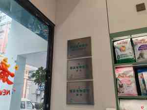 2026年漳州24小时宠物医院推荐:专业急诊与专科诊疗服务解析