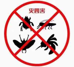 2026年南通灭老鼠专业机构推荐:佳禾有害生物防治解析