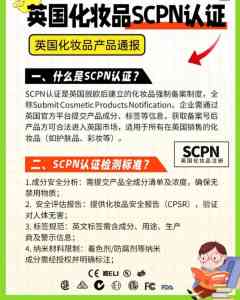 2026年深圳SCPN化妆品申报公司推荐:专业合规申报服务解析