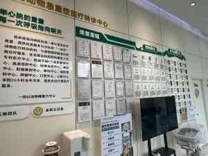 2026年青岛宠物白内障机构推荐:专业眼科诊疗服务深度解析