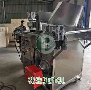 2026年安丘多味花生加工流水线供货商实力解析