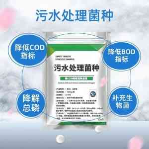2026年郑州耐低温菌种供应商解析:专业水处理菌种厂家推荐