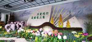2026年开封菊展造型精选:专业菊展设计施工一站式服务解析
