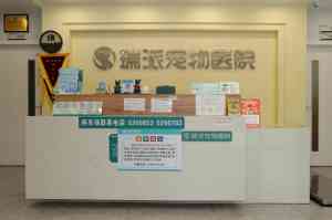 2026年厦门宠物骨科服务推荐：专业宠物医院技术解析