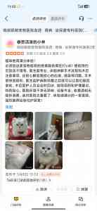 2026年东莞宠物肾病专科医院推荐:瑞派联萌血透诊疗服务解析