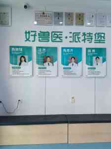 2026年深圳宠物体检门店优选:瑞派派特堡锦云宠物医院专科服务解析