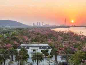 2026年横琴深合区半导体产业园区补贴咨询解析