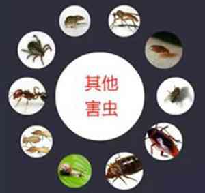 2026年南通除红蚁服务推荐:佳禾生物防治技术公司解析