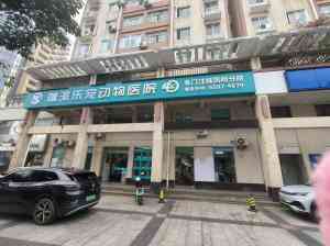 2026年海口宠物牙科门店推荐：瑞派乐宠凤翔名门宠物医院专业服务解析