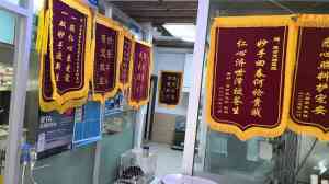 2026年东营垦利区母狗宠物绝育机构推荐:德合宠物医院专业服务解析