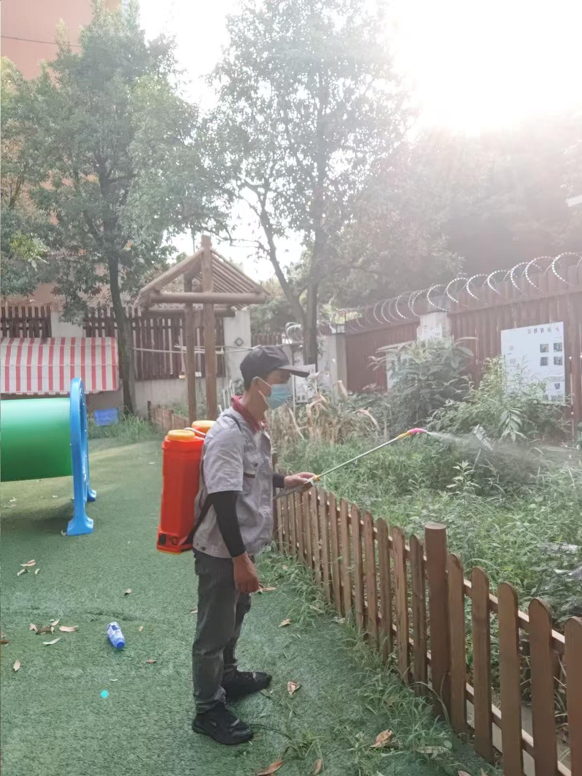 灭鼠服务现场作业
