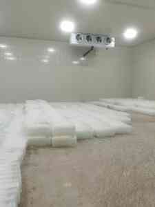 2026年武汉气调冷库工厂推荐:专业制冷工程服务商解析