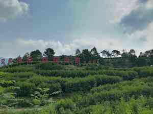 2026年新乡风电一体杀虫灯品牌推荐:天意新能源智慧植保方案解析