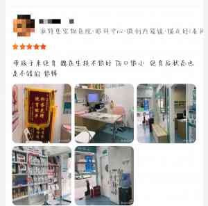 2026年深圳宠物全科诊疗门店推荐:瑞派派特堡医院专科实力解析