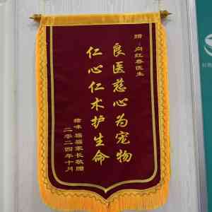 2026年深圳宠物眼科手术精选:瑞派派特堡专科医院深度解析