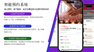 2026年安徽进销存开发平台服务商推荐与解析