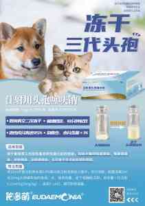 2026年兰州宠物医院全套药品设备供应术前术后药品设备经销供应商推荐