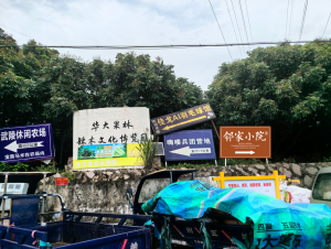 2026年泉州周末一日游推荐:邻家小院田园文旅深度解析